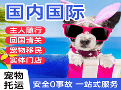 美兰航空快运国际宠物托运 【国